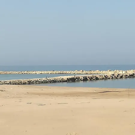 Marejada *